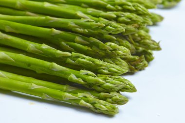 taze yeşil kuşkonmaz