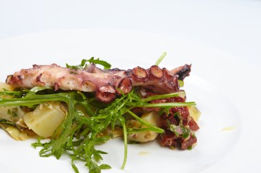 Ahtapot patates, roka