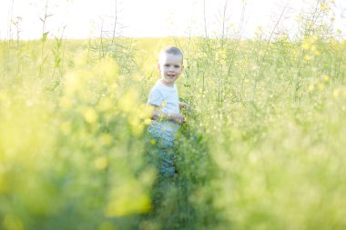 Çocuk çiçeklenme yaz çayır