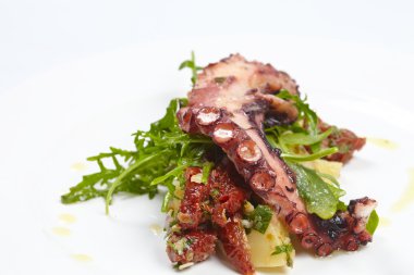 Ahtapot patates, roka