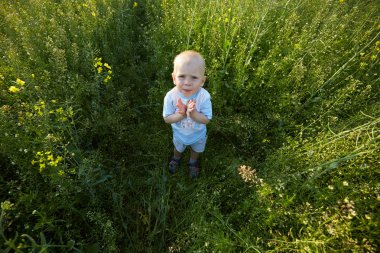 Çocuk çiçeklenme yaz çayır