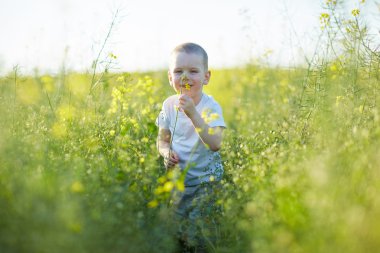 Çocuk çiçeklenme yaz çayır