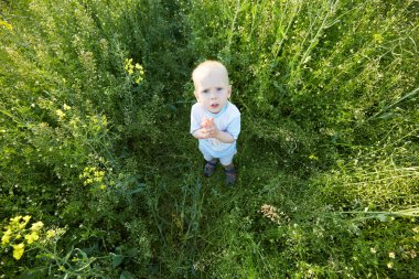 Çocuk çiçeklenme yaz çayır