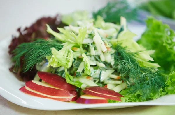 Ensalada de verduras en el plato —  Fotos de Stock