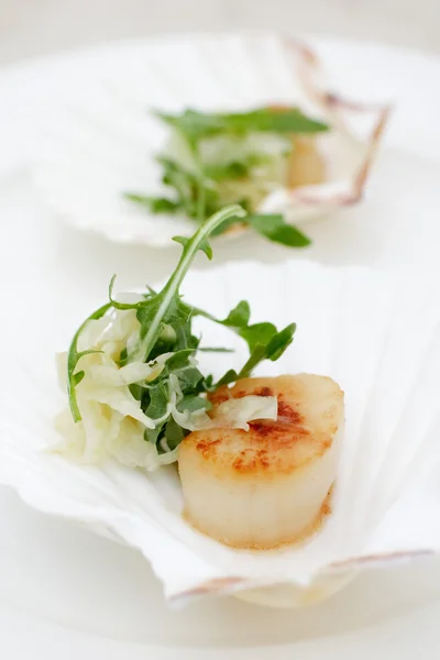 Scallops, onion fennel, herbs — Stock Photo, Image