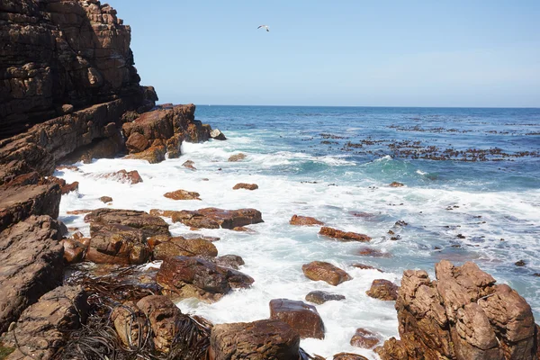 Deniz manzara Güney Afrika — Stok fotoğraf