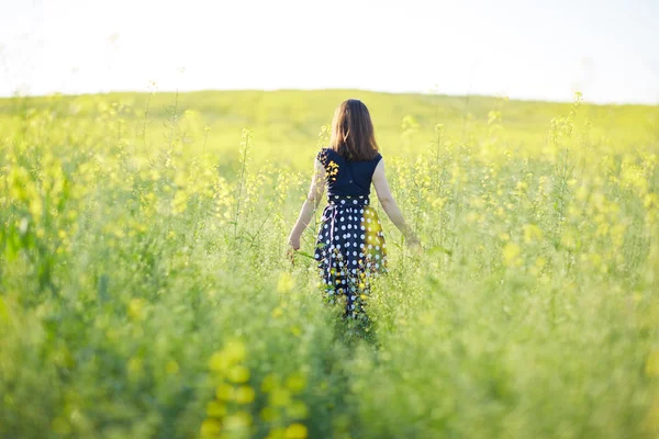 Chica en el campo de floración — Foto de Stock