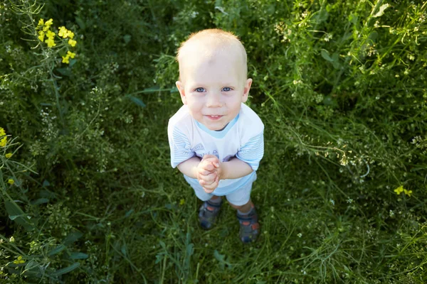 Chłopiec w kwitnący lato łąka — Zdjęcie stockowe