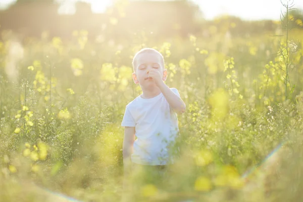 Pojken i blommande sommar äng — Stockfoto
