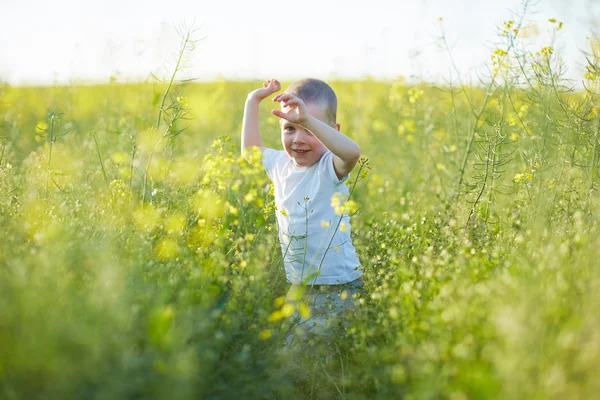 Мальчик в цветущем летнем лугу — стоковое фото