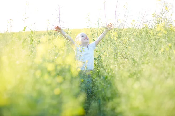 Szczęśliwy chłopiec w kwitnący łąka — Zdjęcie stockowe