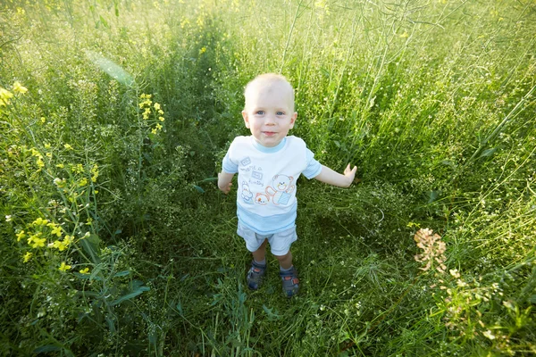 Jongen in de zomer van de bloeiende weide — Stockfoto