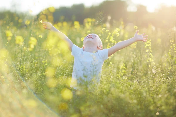 Felice ragazzo nel prato fiorito — Foto Stock