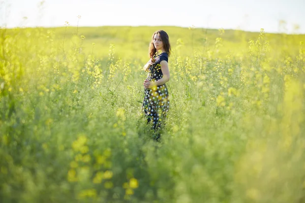 Chica en el campo de floración —  Fotos de Stock