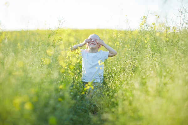 Boy v létě kvetoucí louka — Stock fotografie