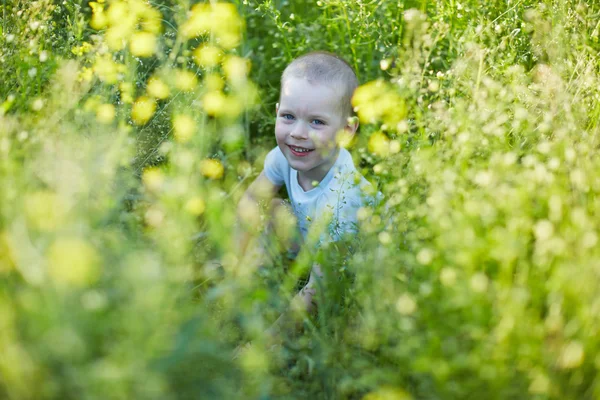 Boy v létě kvetoucí louka — Stock fotografie