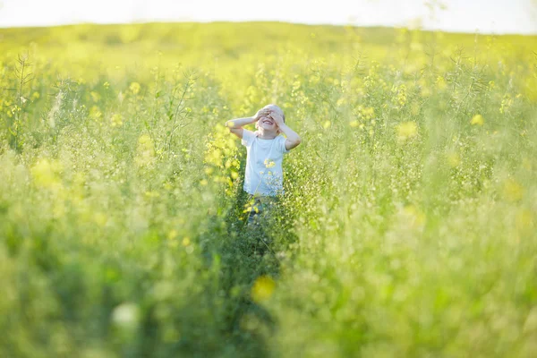 Băiat în luncă de vară înfloritoare — Fotografie, imagine de stoc