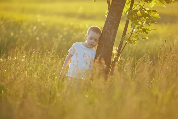 Мальчик на летнем лугу — стоковое фото