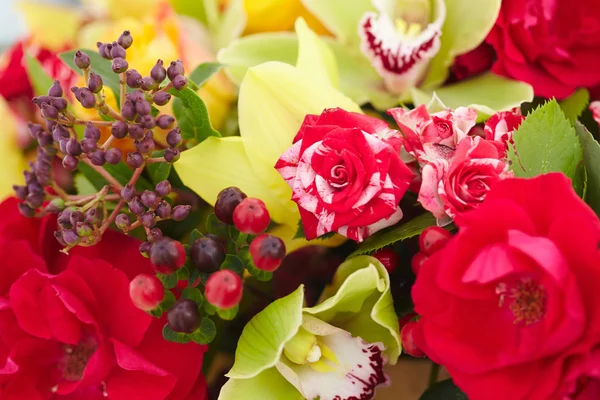 Flores rojas, amarillas, blancas — Foto de Stock