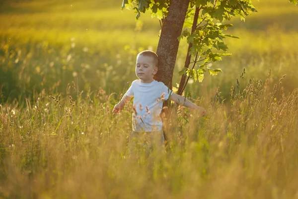 Petit garçon dans la prairie d'été — Photo