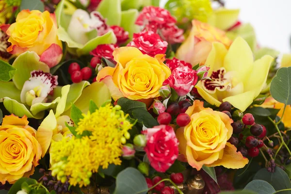 Vermelho, amarelo, flores brancas — Fotografia de Stock