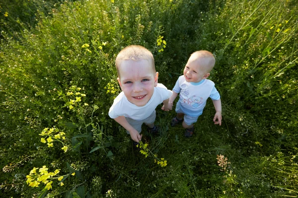 Petits garçons à la prairie fleurie — Photo