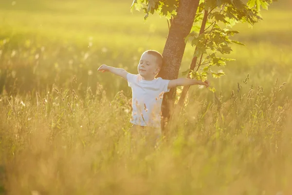 Malý chlapec v letní louka — Stock fotografie