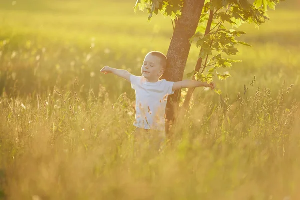 Liten pojke i Sommaräng — Stockfoto