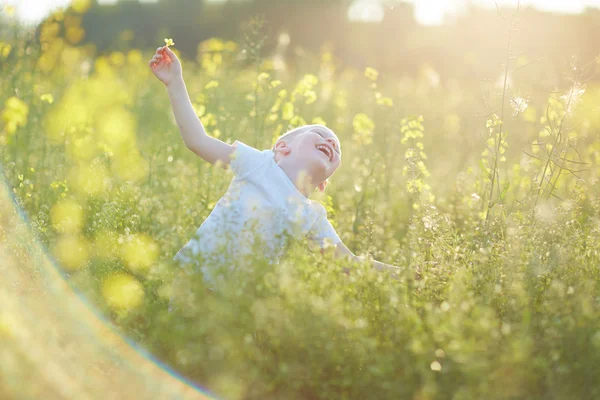 Happy boy in blooming meadow — Stock Photo, Image