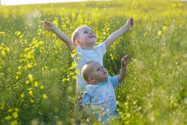 Little boys at blooming meadow — Stock Photo, Image