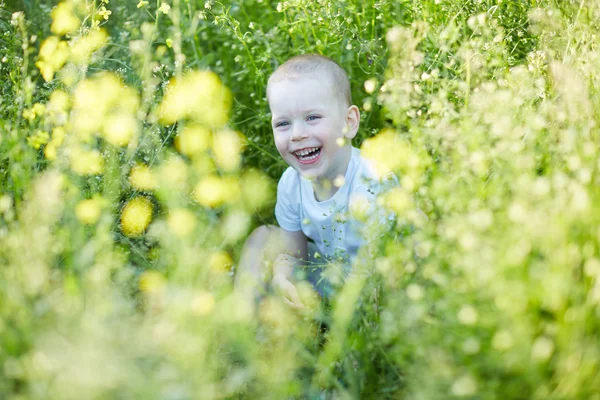 Boy v létě kvetoucí louka — Stock fotografie