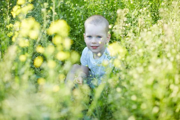 Ragazzo in fioritura prato estivo — Foto Stock