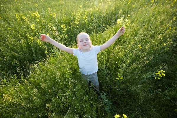 Garçon heureux dans la prairie en fleurs — Photo