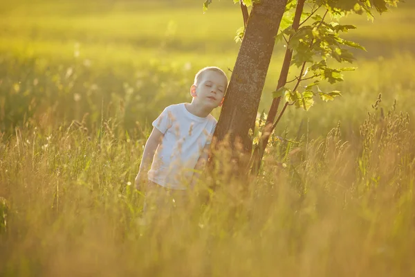 Ragazzino nel prato estivo — Foto Stock