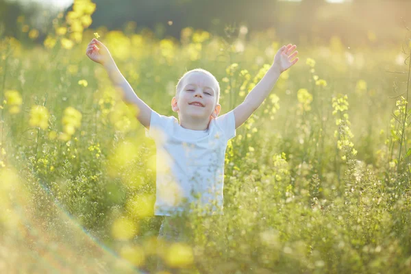 Happy boy v kvetoucí louka — Stock fotografie