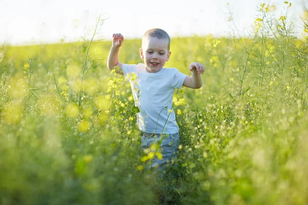 Мальчик в цветущем летнем лугу — стоковое фото
