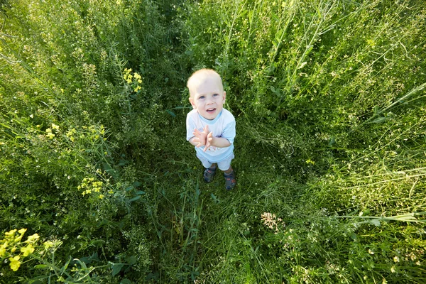 Băiat în luncă de vară înfloritoare — Fotografie, imagine de stoc