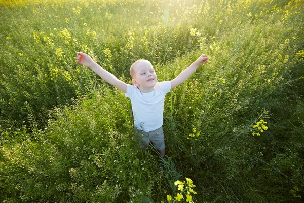 Happy boy v kvetoucí louka — Stock fotografie