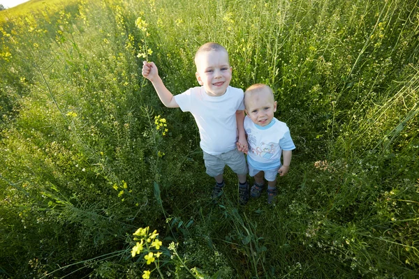 Petits garçons à la prairie fleurie — Photo