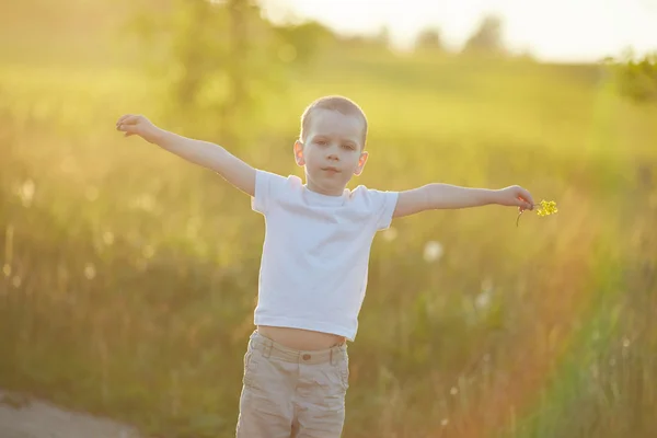 Happy boy v kvetoucí louka — Stock fotografie