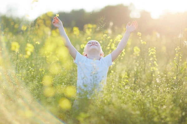 Happy boy v kvetoucí louka — Stock fotografie