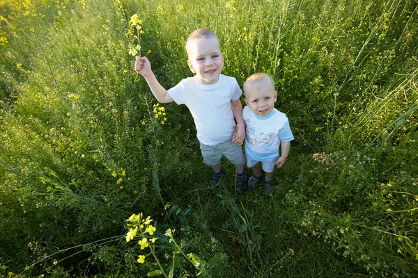 Petits garçons à la prairie fleurie — Photo