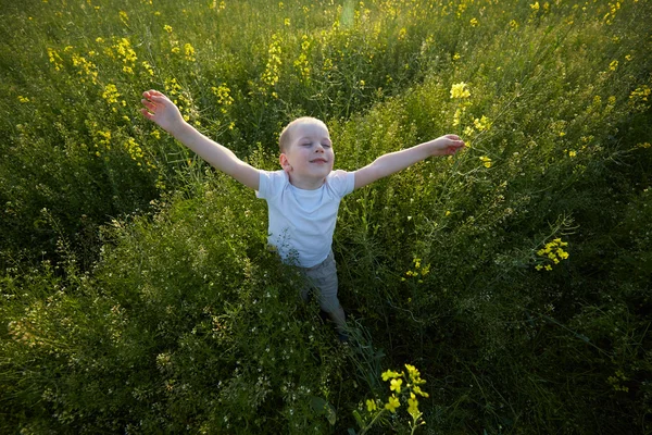 Happy boy v kvetoucí louka — Stock fotografie