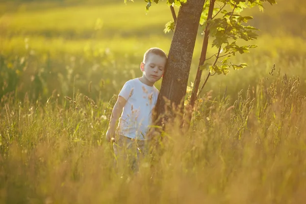 Liten pojke i Sommaräng — Stockfoto