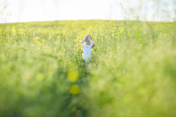 Băiat în luncă de vară înfloritoare — Fotografie, imagine de stoc