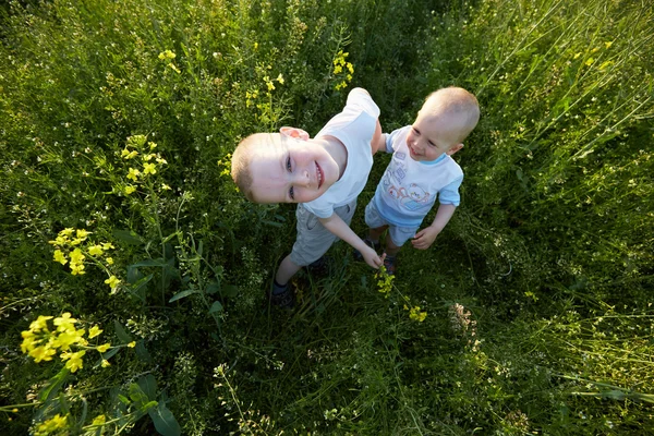 Маленькие мальчики на цветущем лугу — стоковое фото