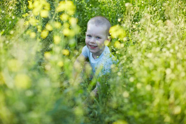 少年夏に咲く草原 — ストック写真