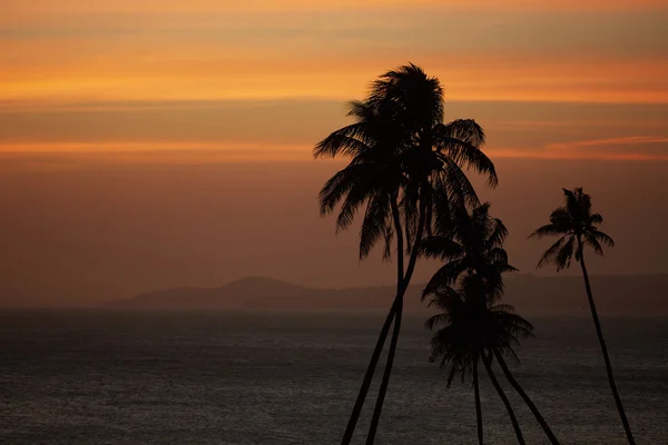 Palmeras contra la puesta de sol sobre el mar — Foto de Stock