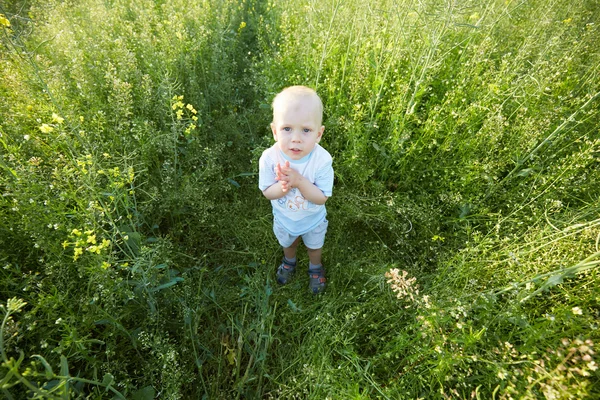 Garçon en fleur prairie d'été — Photo