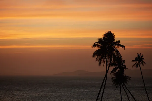 Palmeras contra la puesta de sol sobre el mar — Foto de Stock